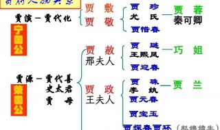 林黛玉进贾府中社会描写有什么作用 林黛玉进贾府中的环境描写有什么样的作用