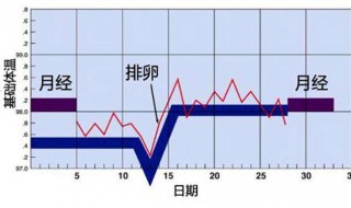 怎样计算排卵期 两点带你了解