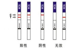 试纸怎么用 试纸使用方法