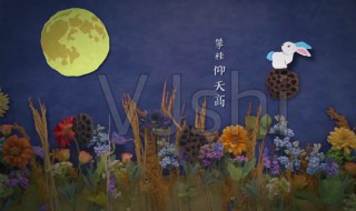 中秋节的诗句古诗大全 中秋节的诗句古诗有什么