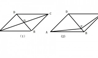 平行四边形对角线有几条 平行四边形对角线有多少