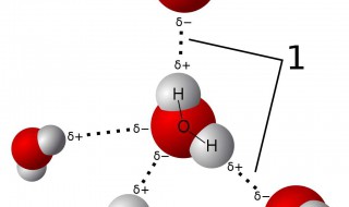 什么是氢键 氢键的介绍