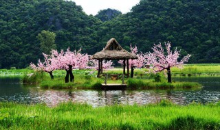 云南坝美村在哪 云南坝美村介绍