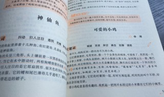 窗外作文600字 来看满分作文