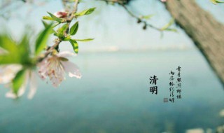 清明节的来历作文 清明节的来历作文范文示例