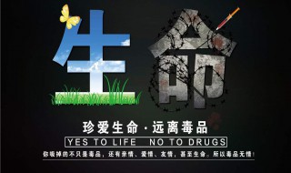 禁毒名句 禁毒名言警句