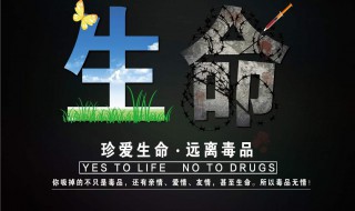 禁毒宣传标语 禁毒宣传警句