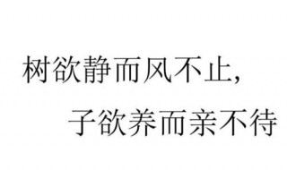 树欲静而风不止下句 树欲静而风不止原文