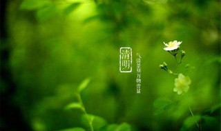 清明节由来 清明节简介