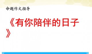 陪伴作文600字 陪伴作文范文