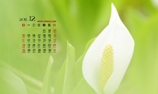 12月有哪些节日 分别是在什么时候