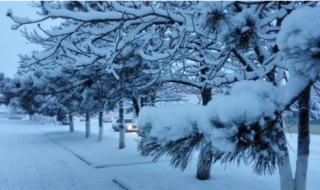 梦见下大雪是什么预兆 梦境解说