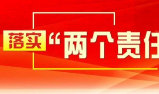 两个责任的内容是什么 分别是主体责任和监督责任