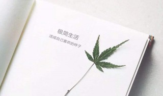 活成自己喜欢的样子经典语录 让自己充满魅力的句子