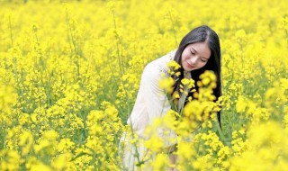 黄花闺女中的黄花指的是什么 这词是怎么出现的