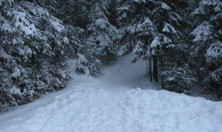 梦见下雪 梦见下雪的预兆