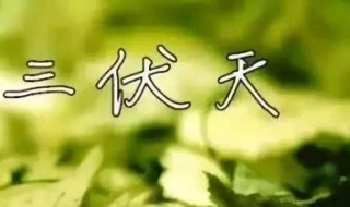 入伏是哪一天 入伏介绍