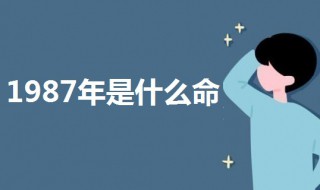 1987年是什么命 1987属相命运解析