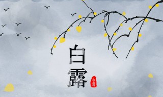 处暑后面是什么节气 处暑后面的节气介绍