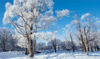 雪后发朋友圈短句 下雪的说说心情短语