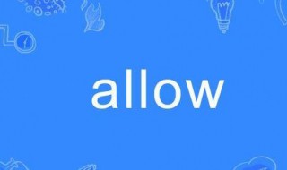 allow是什么意思 allow的解释