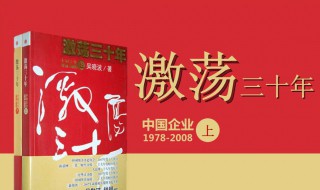 激荡30年介绍 激荡30年资料