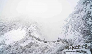 窗含西岭千秋雪的下一句 出自哪里呢