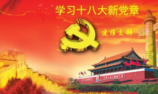 学习党章的体会 学习党章的体会范文