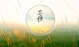 6月5日是什么日子 6月5日节日介绍