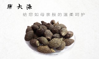 胖大海的功效与作用及食用方法 胖大海有什么功效