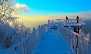 带小孩去哪里旅游最好 旅游地点推荐