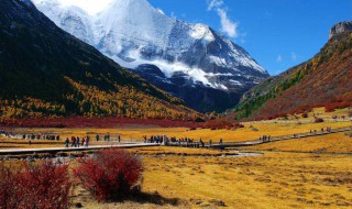 7-8月适合旅游的最佳地方 都有什么风景