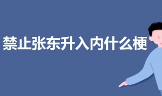 禁止张东升入内什么梗 禁止张东升入内梗的介绍