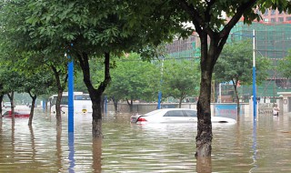 大暴雨大还是特大暴雨大 雨量的介绍