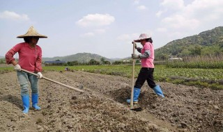 女人干活到多少岁 女人应该工作到多少岁