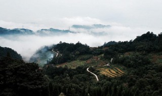 四川雅安旅游景点 四川雅安旅游景点简述