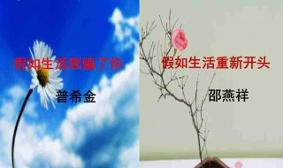 重新开始生活的简短句子 重新开始生活的简短句子介绍