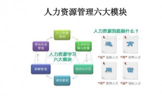 人力资源六大模块内容 人力资源你都知道吗