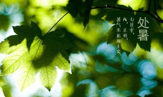 24节气处暑是什么意思 24节气处暑介绍