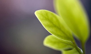 教师节祝福的话 老师一定会很开心的