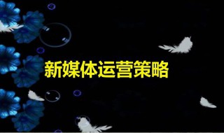 新媒体运营证哪里考 新媒体运营证如何报名