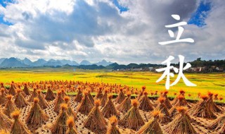 立秋吃什么食物最好 适合立秋吃的食物