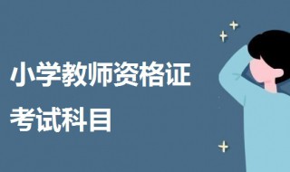 教师资格证小学可以考哪些科目 一起来了解一下