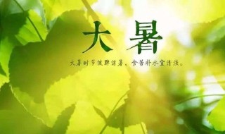 注意避暑句子 夏天注意避暑的短信