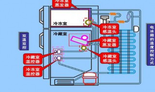 冰箱上电后怎么工作 一起了解一下吧