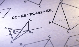 数学的元次是谁提出来的 数学的元次概念提出者