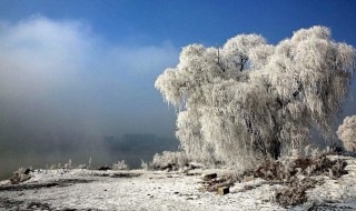 大雪纷飞的诗句 大雪纷飞的诗句列述