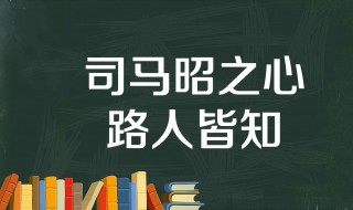 司马昭之心路人皆知意思 司马昭之心路人皆知的出处