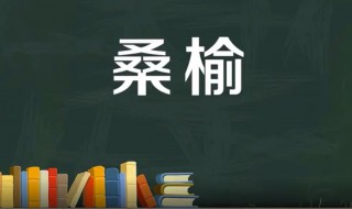 桑榆是什么意思 出自哪里