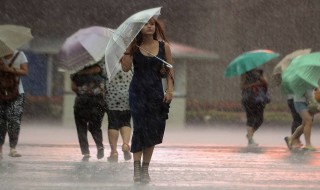 雨的成语 雨的成语列述